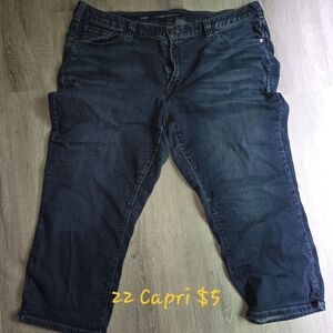 Lane Bryant Dark Blue Denim Jeans